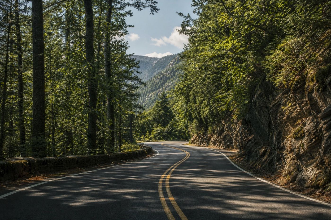 Forest Pass