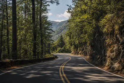 Forest Pass