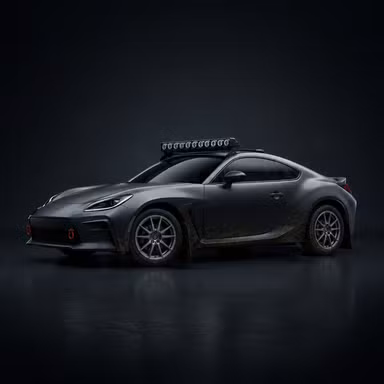 Rally Build — Body option rendered by the ModMyCar studio