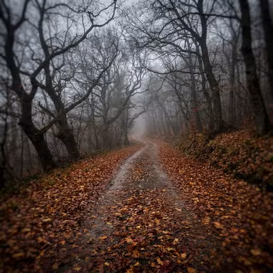 Autumn Forest — Scene option rendered by the ModMyCar studio