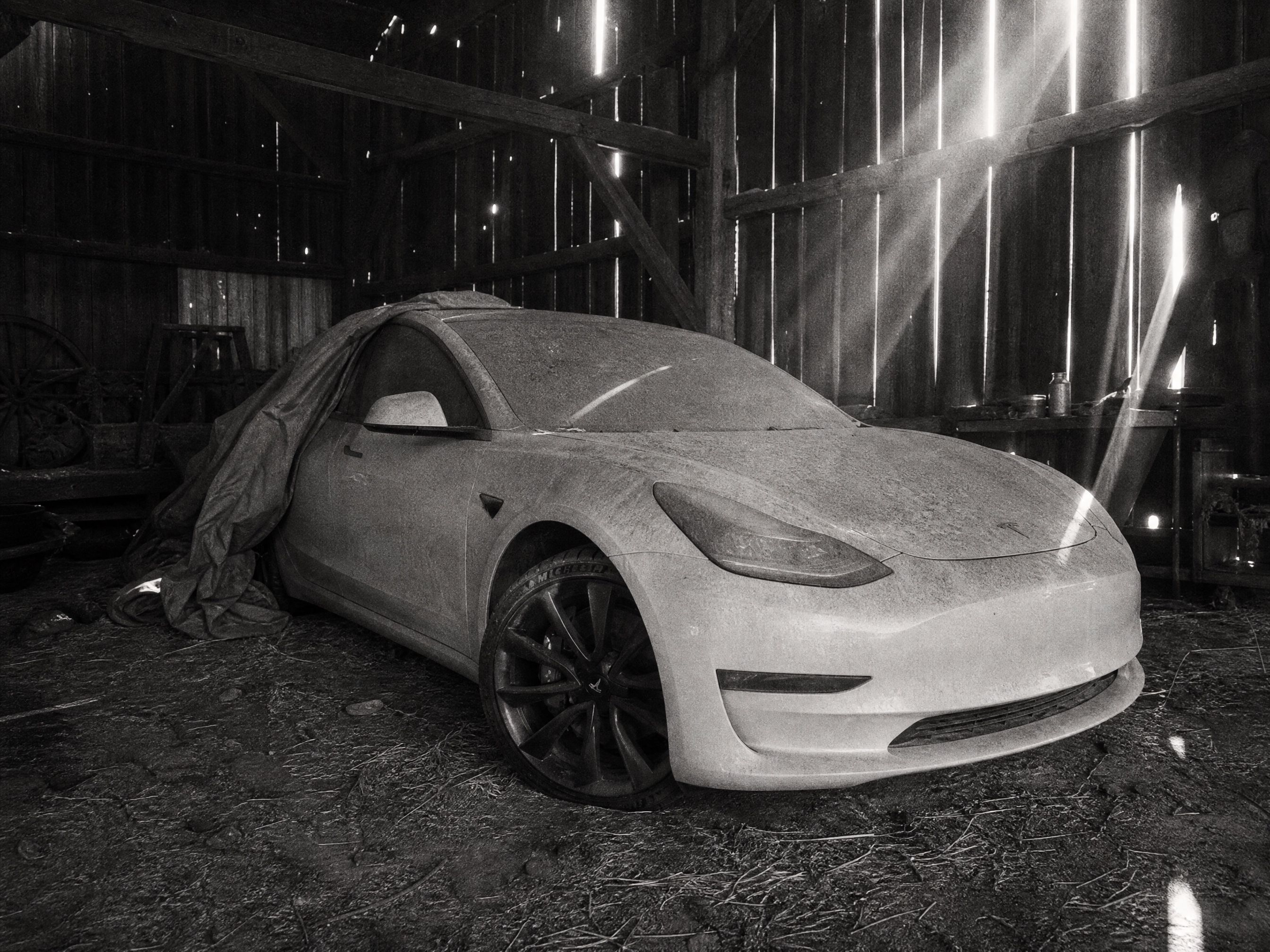 Barn Find