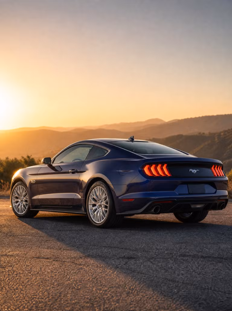 Golden Hour Shoot